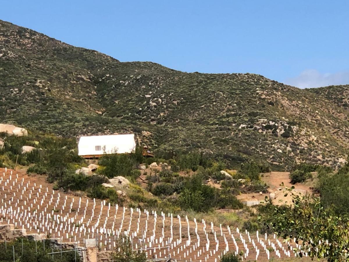 Casa Misiones Glamping Hotel Valle de Guadalupe Exterior photo